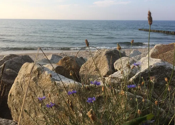 Lägenhet Seaside Park Private Aurora 502 Kołobrzeg