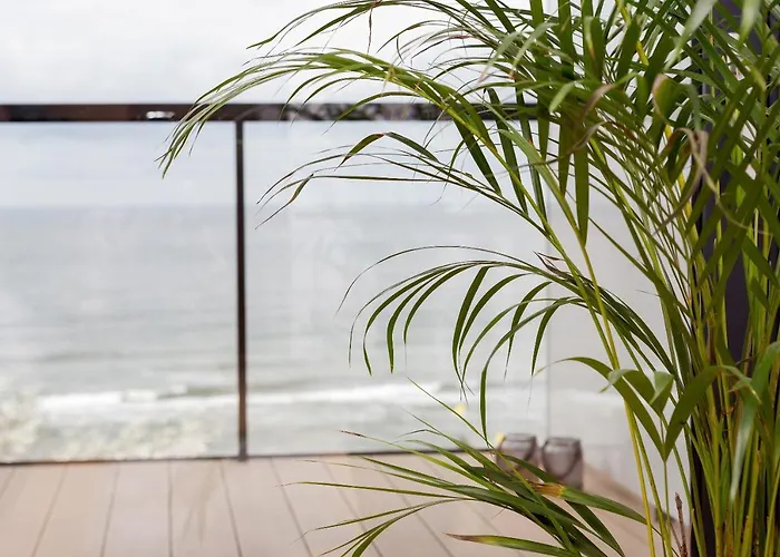 アパート Seaside Park Private Aurora 502 *